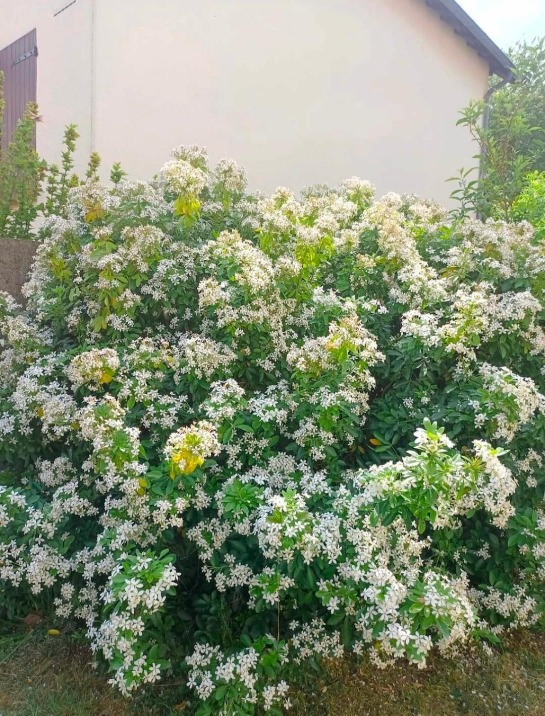 ויטרי-סור-סיין Bienvenue A Paris - Appartement Confortable, Grande Terrasse Privee Au Calme, Parking Gratuit מראה חיצוני תמונה